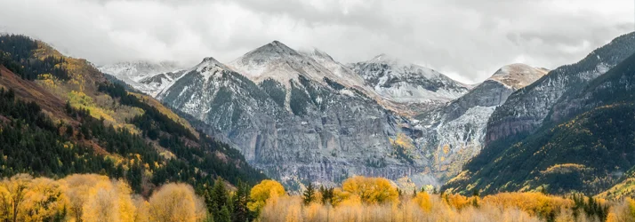 The Wellness Way – South Denver in Glendale CO