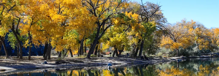 The Wellness Way – South Denver in Park Hill CO