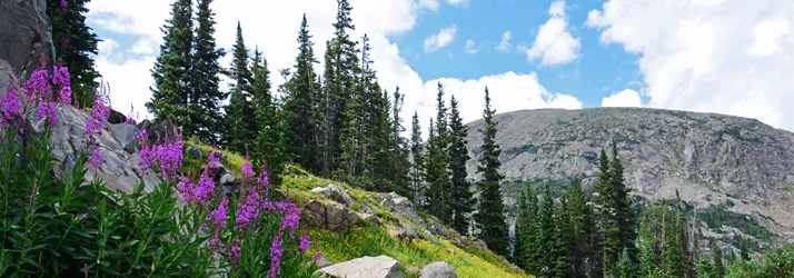 The Wellness Way – South Denver in Washington Park CO